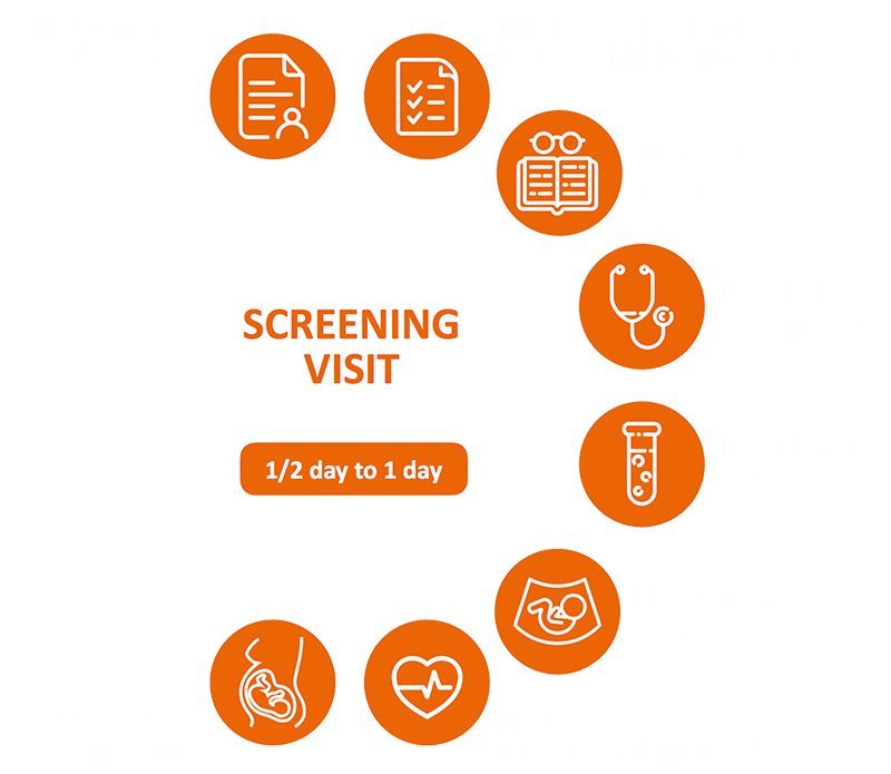 Illustration of the procedures that you will undergo at the Screening visit